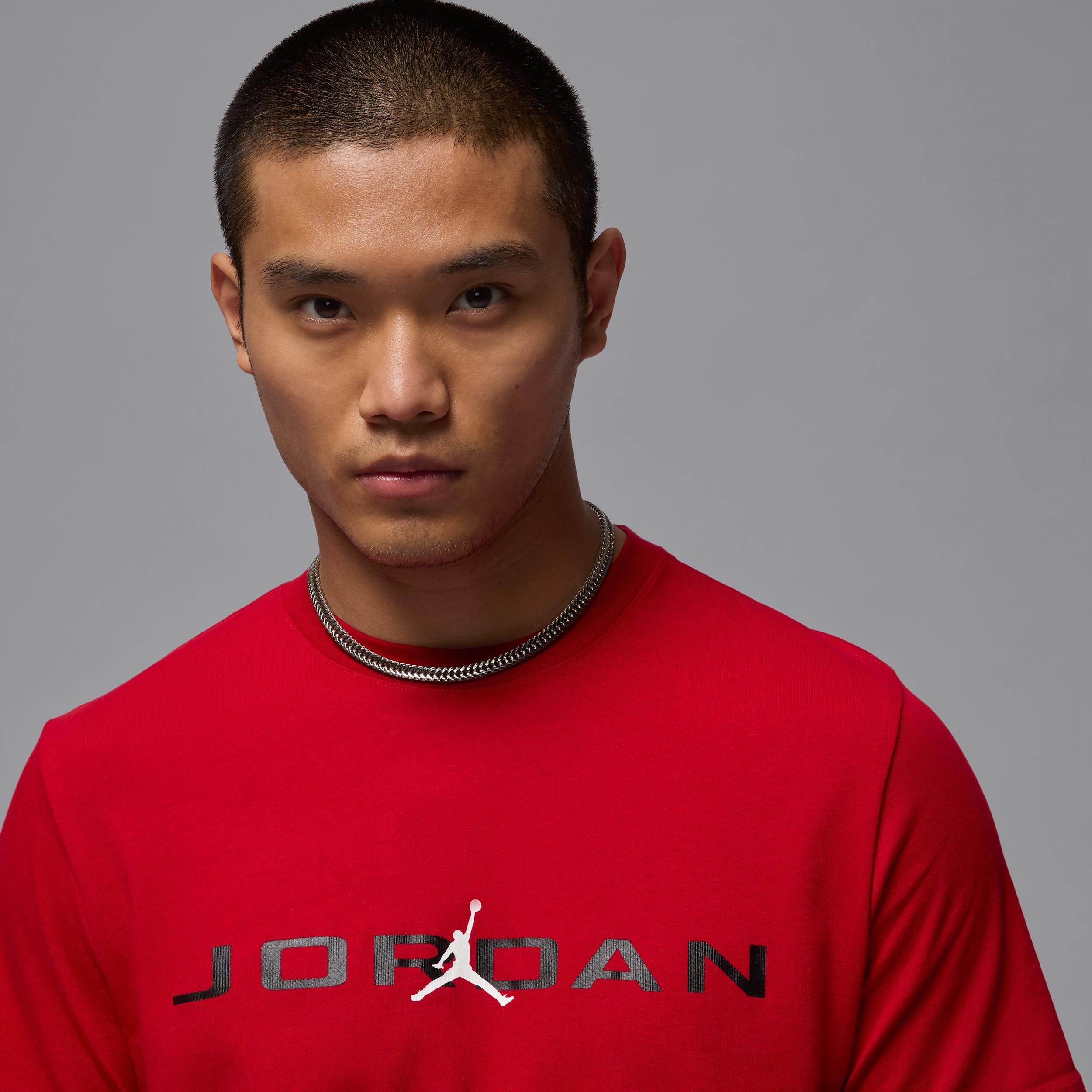 Mens Jordan Air T-Shirt | IB7353-687 Product Image