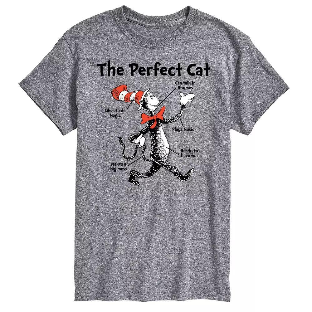 Big & Tall Dr Seuss Perfect Cat Tee, Men's, Size: XL Tall, Gray Product Image