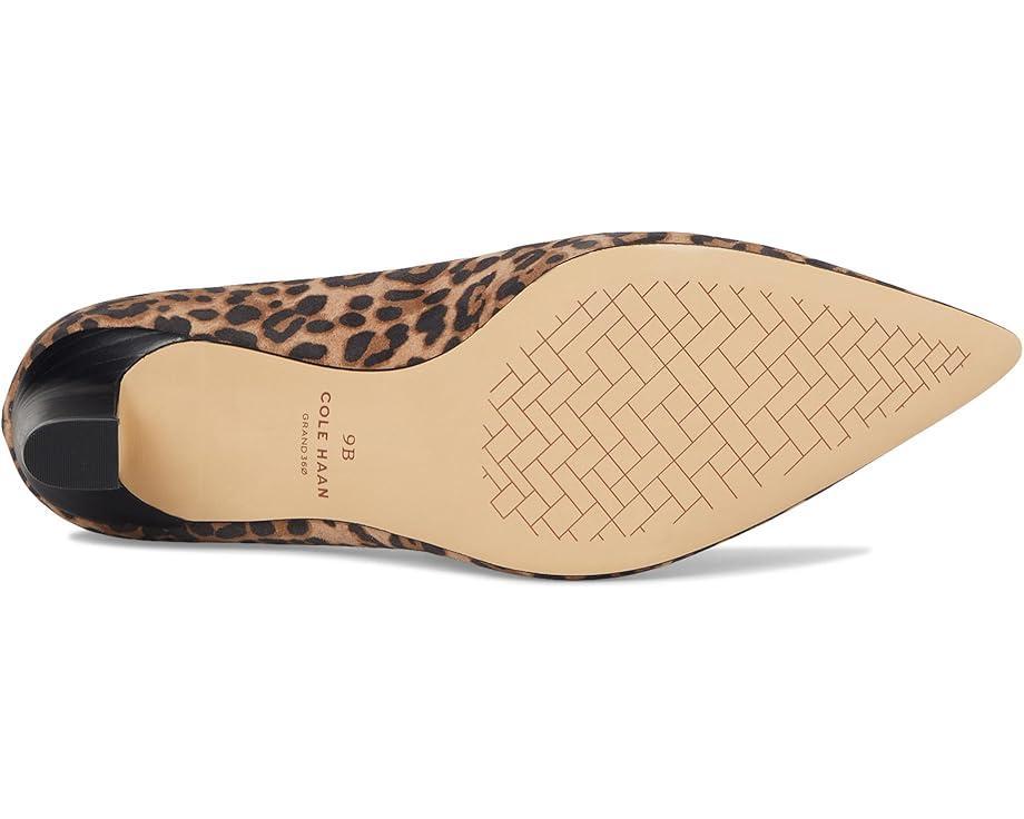 MSRP: $190(10% OFF) Product Image