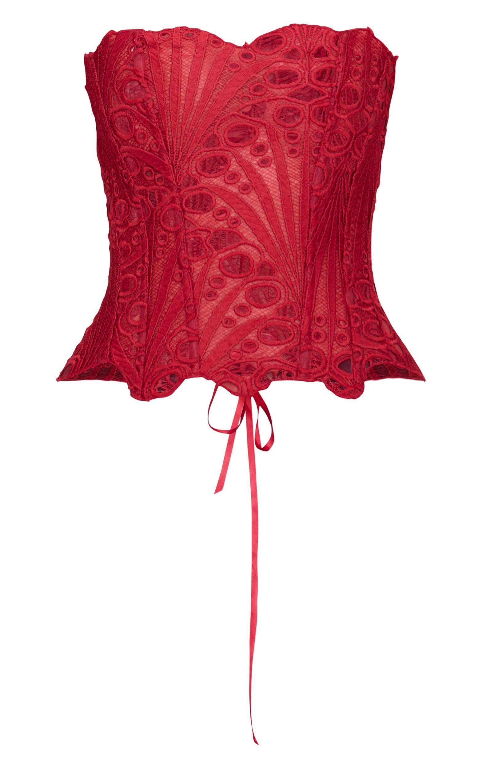 Burgundy Textured Sheer Floral Lace Corset Product Image