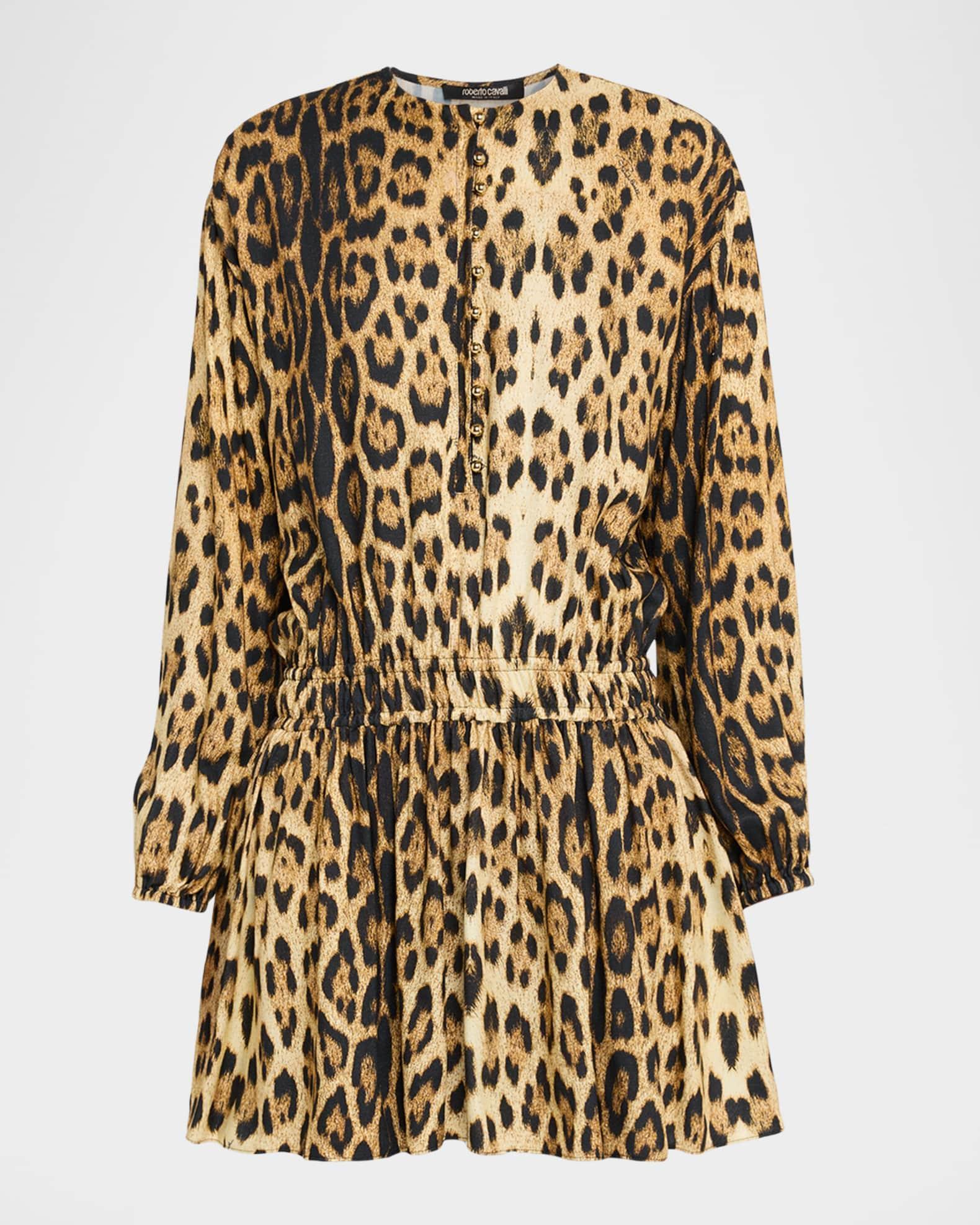 Leopard-Print Long-Sleeve Mini Dress Product Image