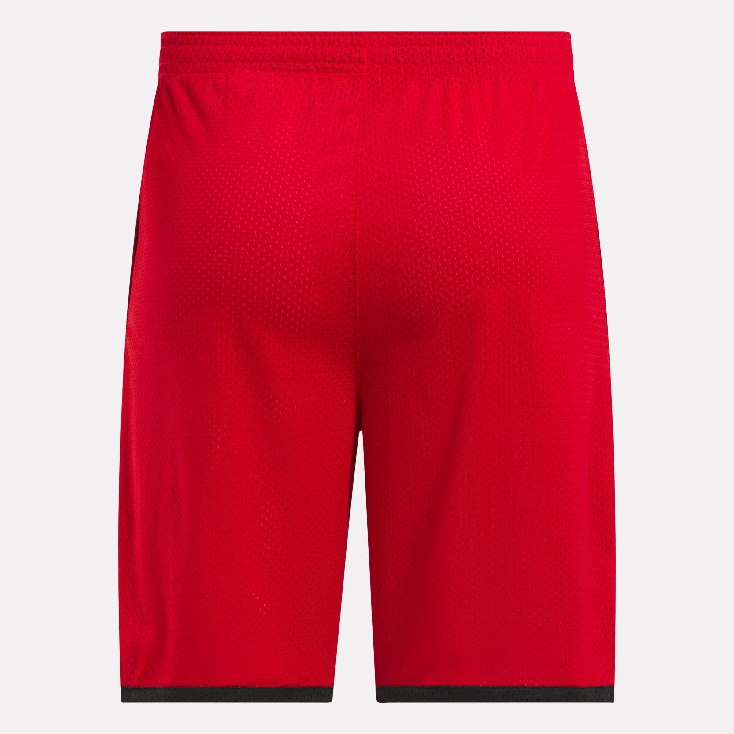 Men's Basketball Mesh Shorts Male Product Image