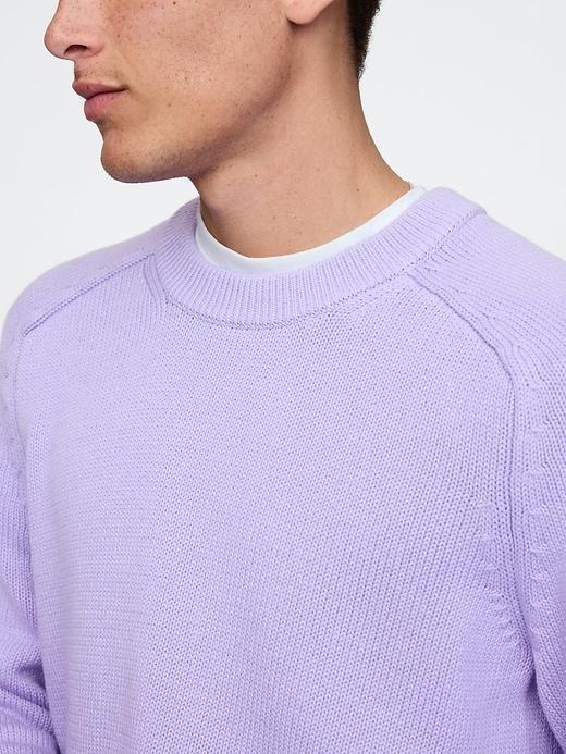 Raglan Crewneck Sweater Product Image