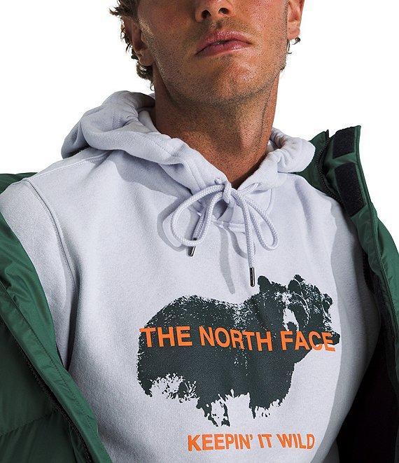 The North Face Animals We Love Bear Graphic Hoodie Product Image