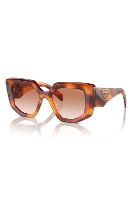 PRADA 50mm Rectangular Sunglasses In Cognac Tortoise Product Image