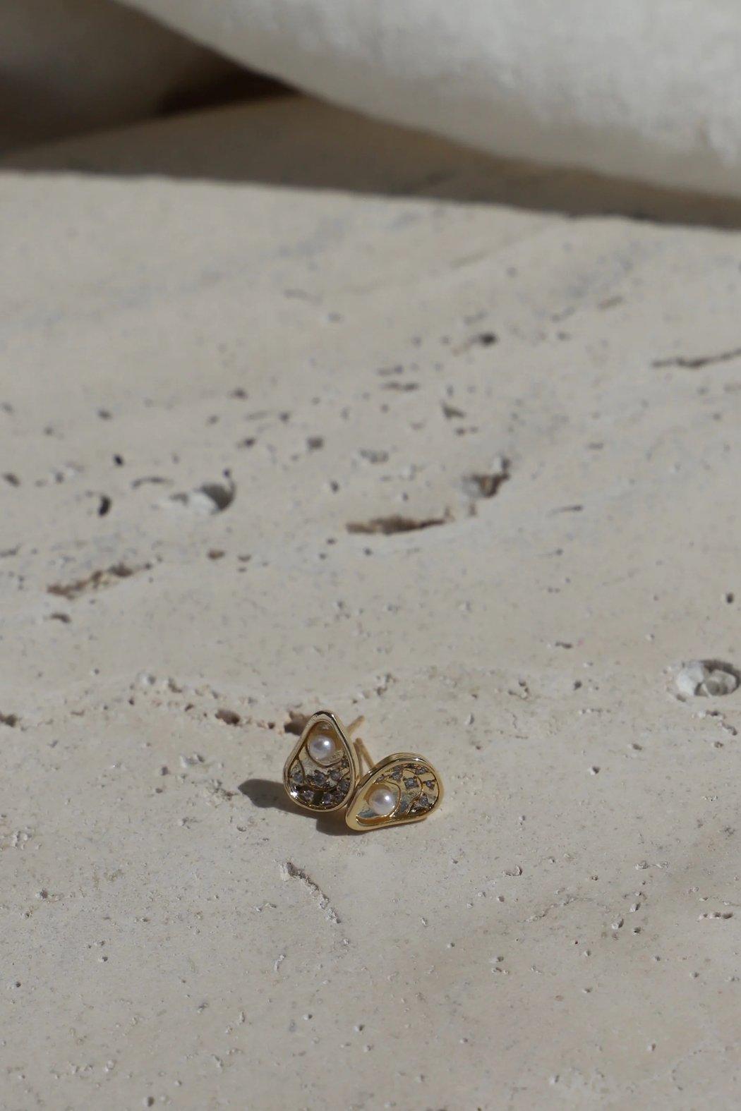 Gold Oyster Shell Studs Product Image