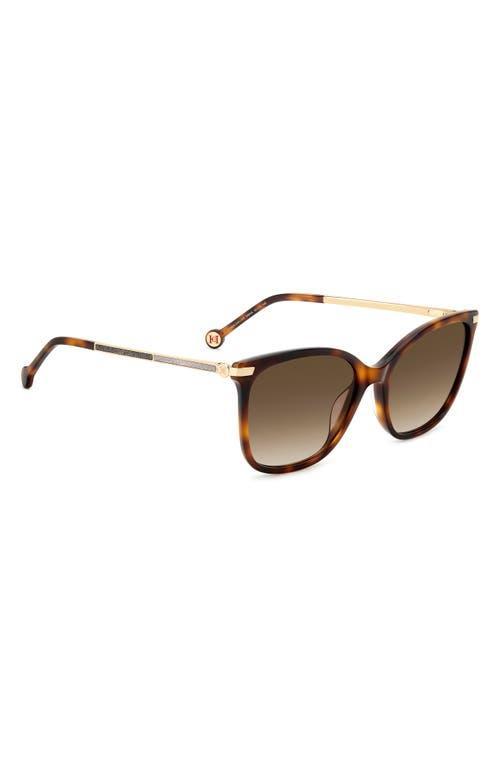 CAROLINA HERRERA 55mm Gradient Rectangular Sunglasses In Havana/brown Sf Product Image