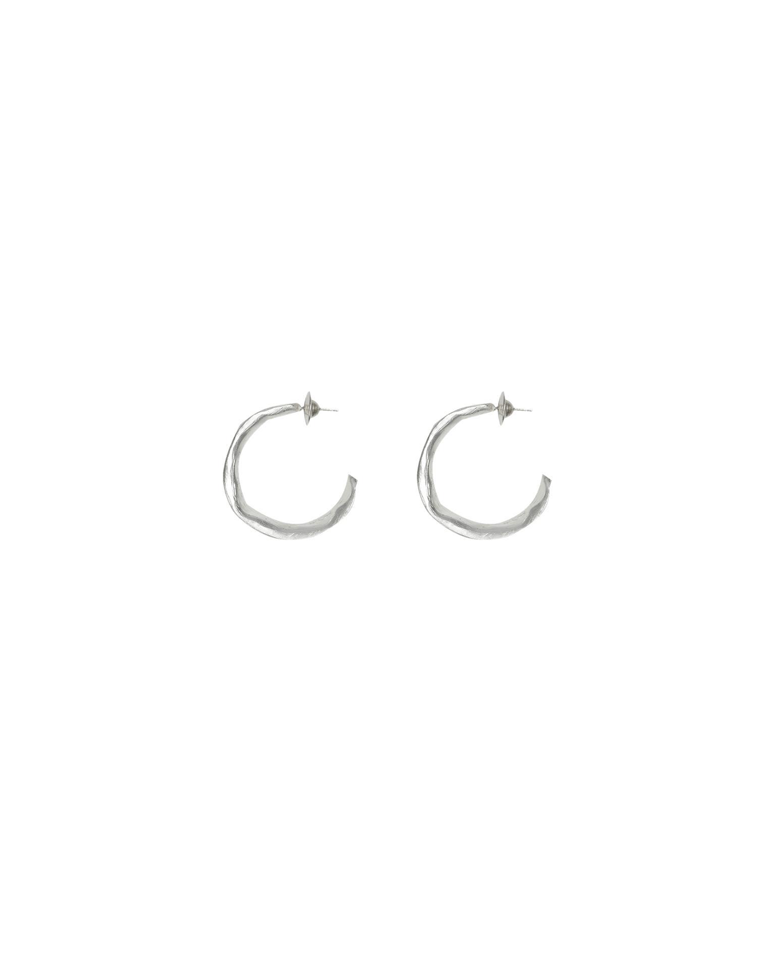 Ray Earrings - Silver Product Image