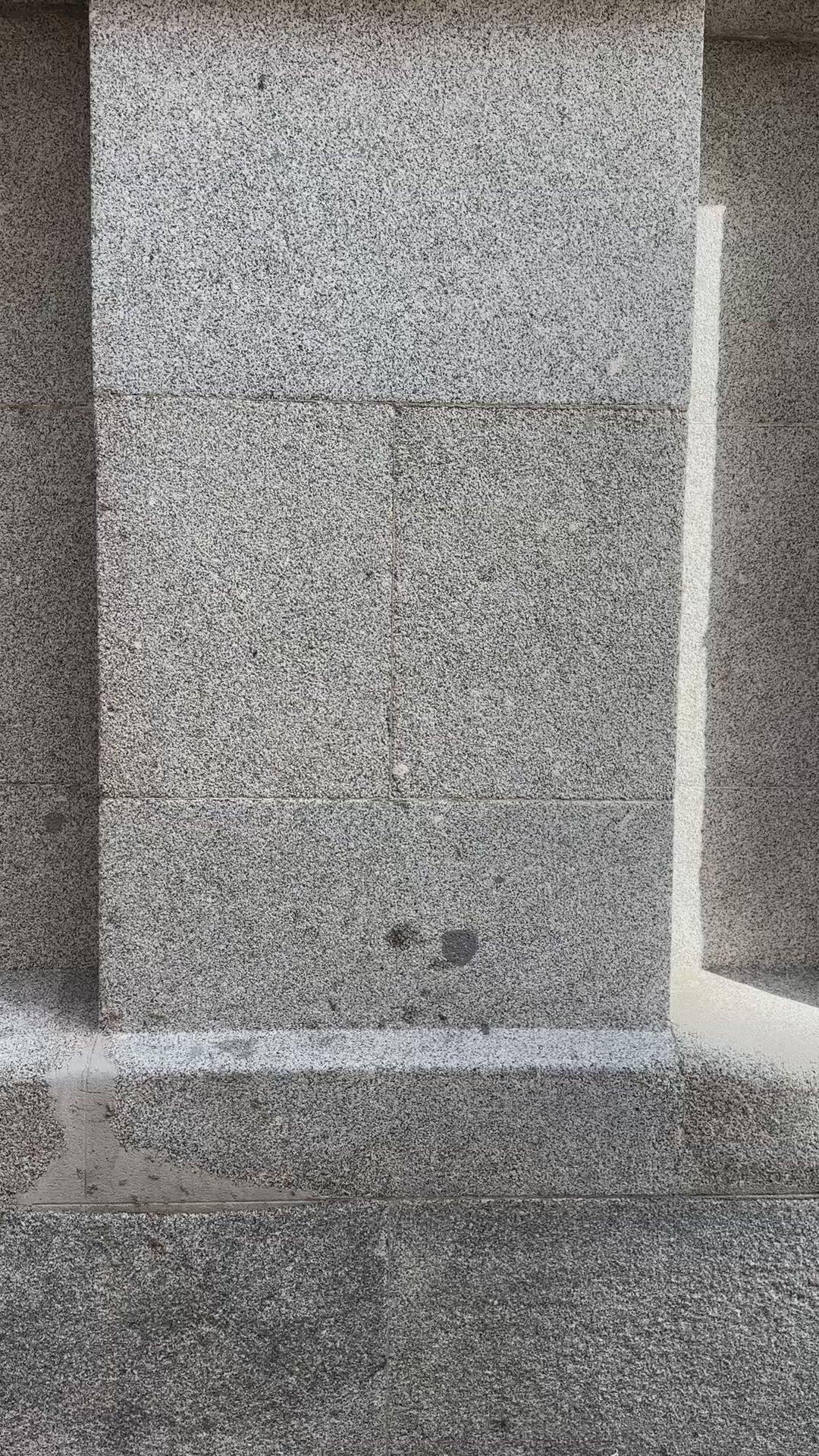 Lightweight Zip Jacket In Cotton Product Image