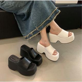 Platform Slide Sandals Product Image