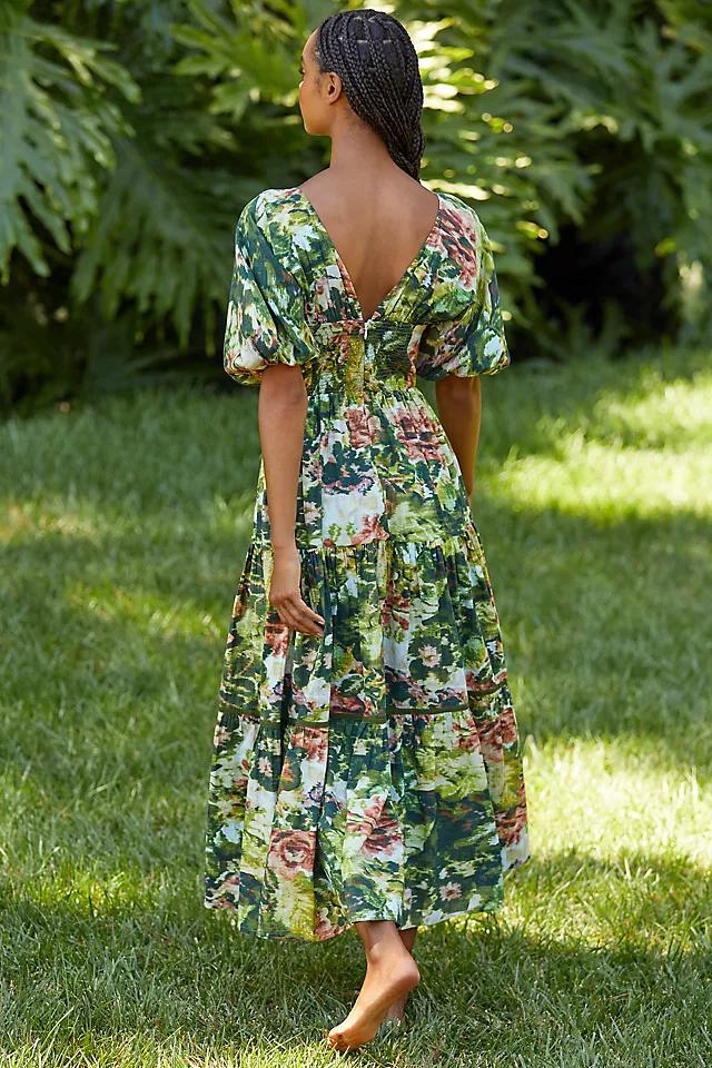 Ro's Garden Nieves Maxi Dress Product Image