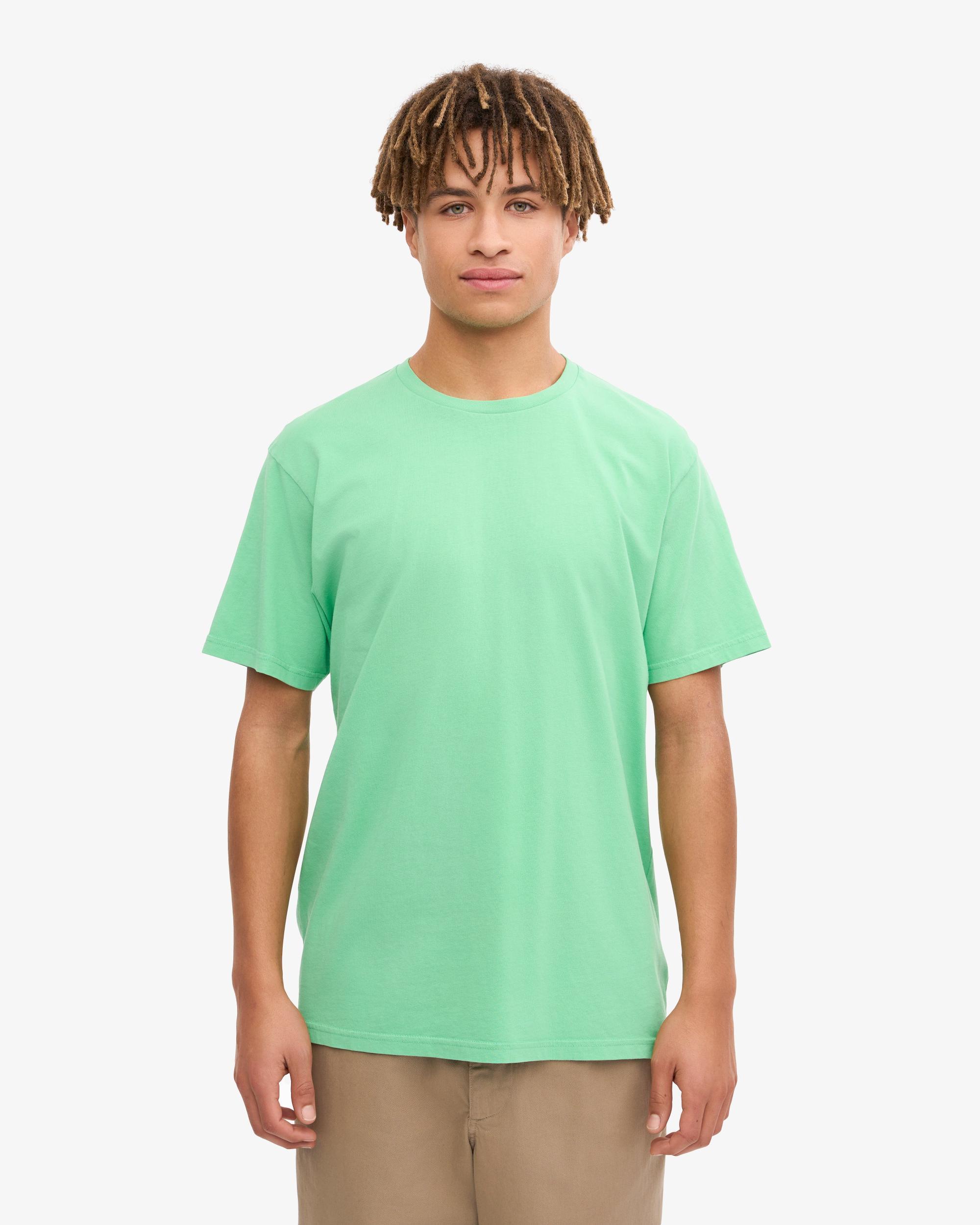 Classic Organic Tee - Spring Green Product Image