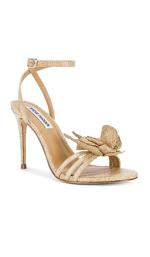 Excite Heel Steve Madden Product Image