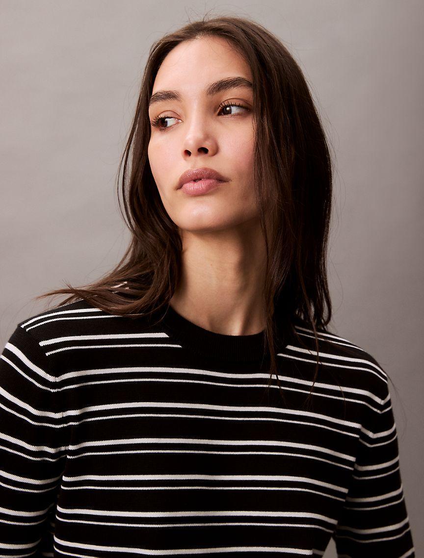 Smooth Cotton Stripe Crewneck Sweater Product Image