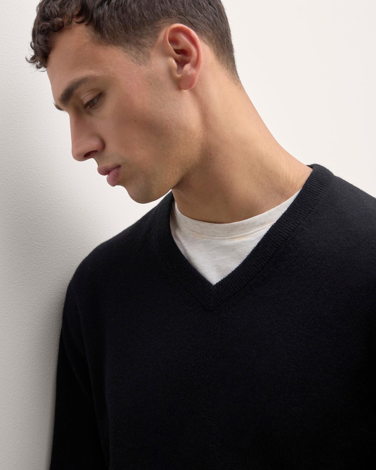Mens Cashmere V-Neck Sweater by Everlane Product Image