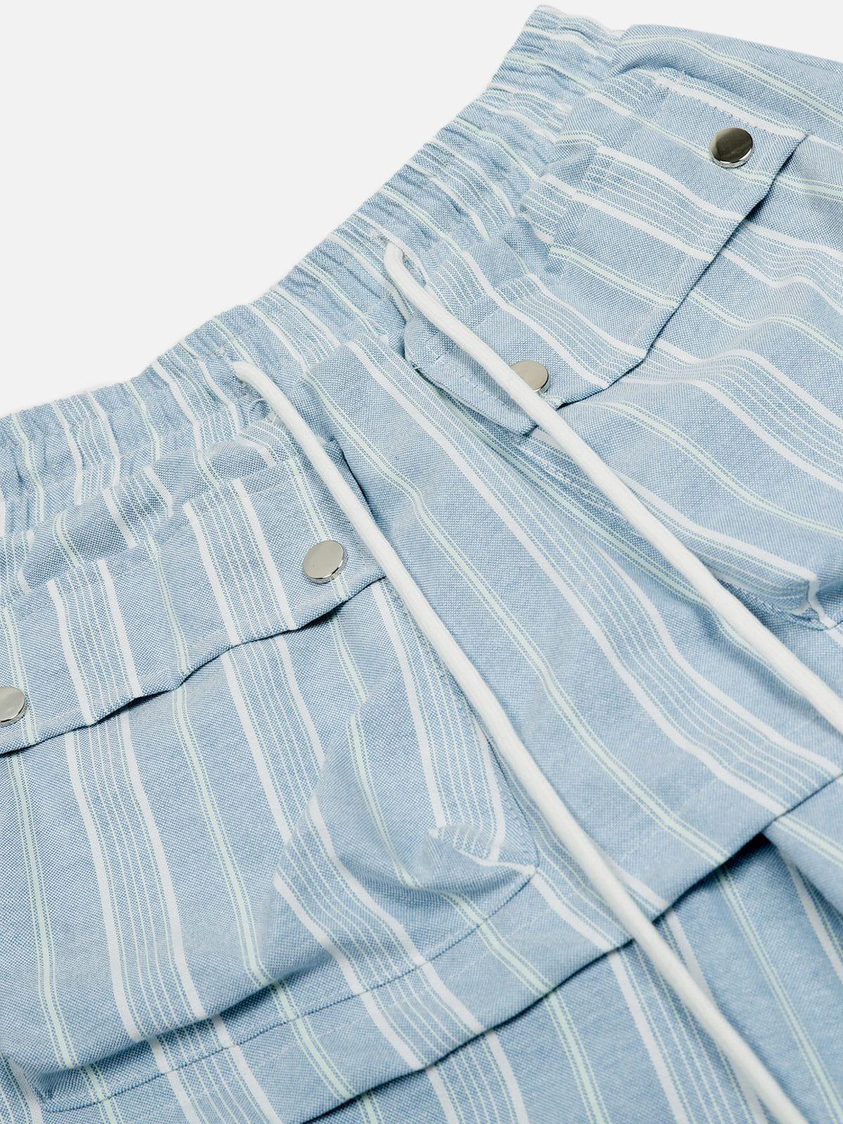 Aelfric Eden Stripe Two Layer Pants Female Product Image