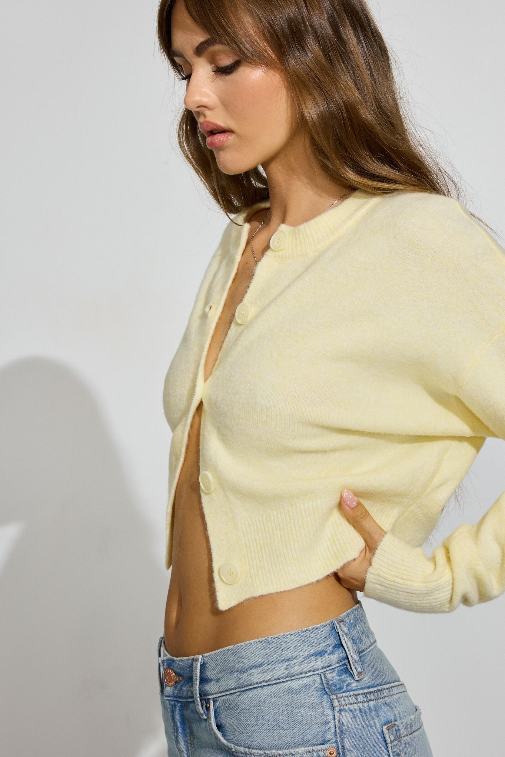 Renee Spongy Cropped Cardigan Product Image