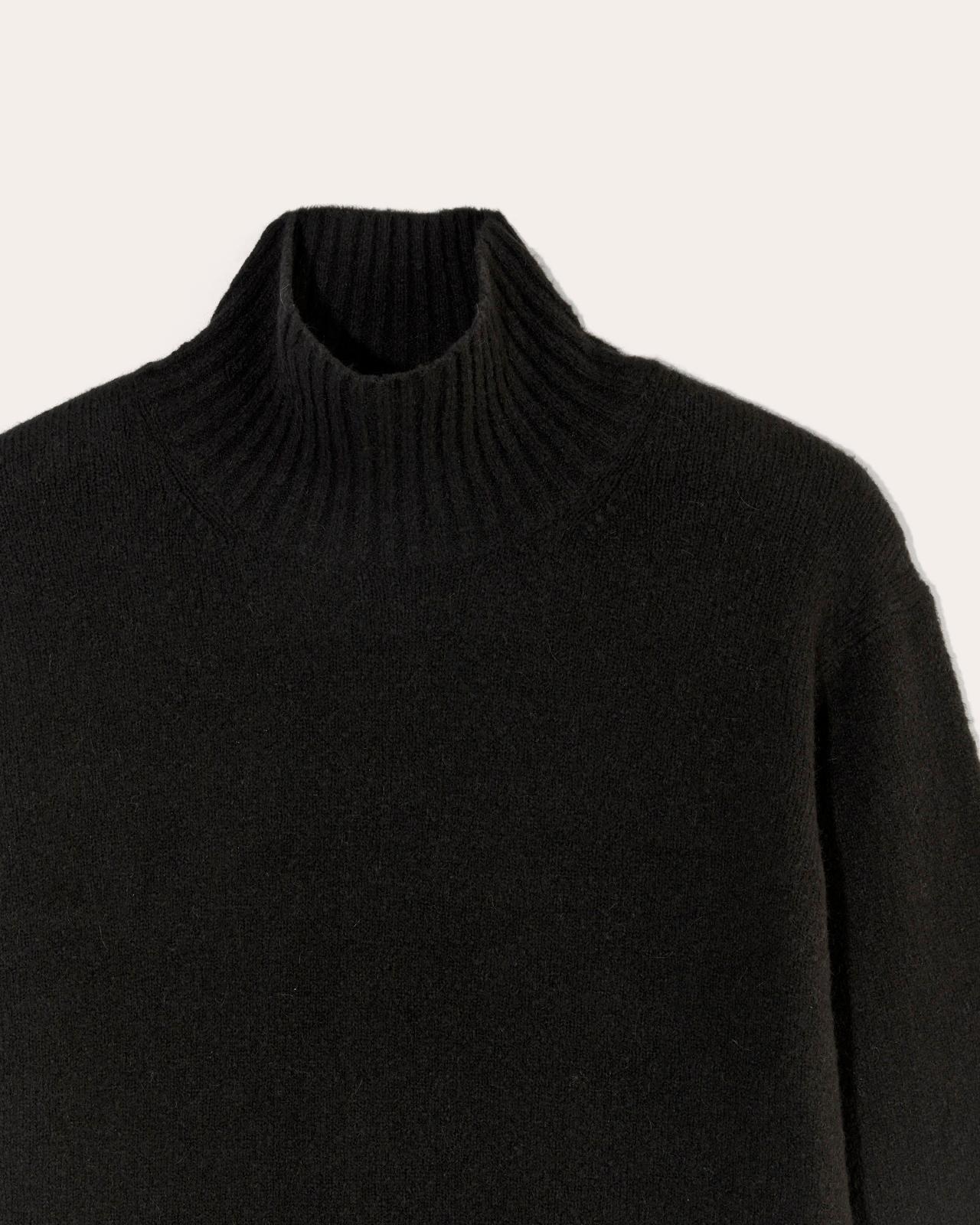 Womens Sweater Dress in Plush Cotton by Everlane Product Image