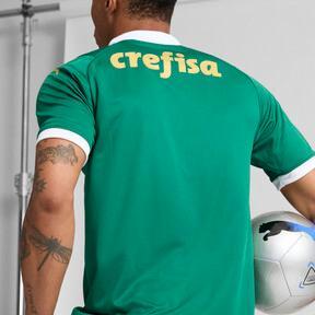 PUMA Palmeiras Fans '24 Home Men's Jersey Product Image