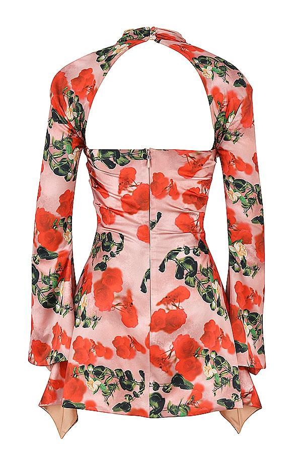 Toira Rose Print Draped Corset Dress Product Image