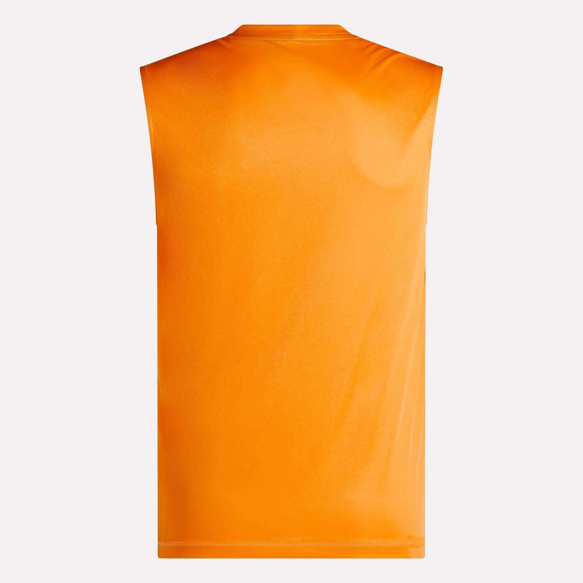 Men's Training Sleeveless Tech T-Shirt Male Product Image
