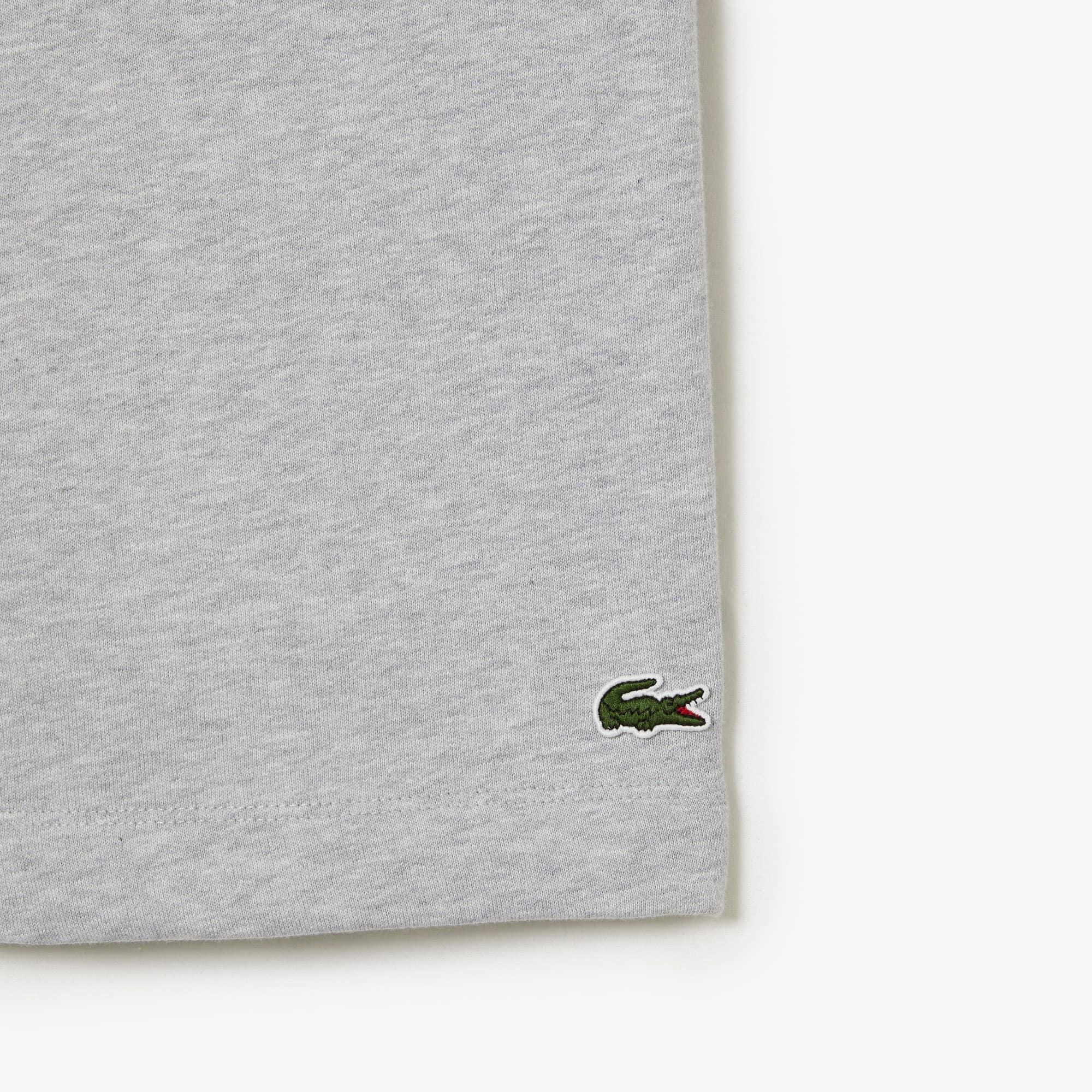 Regular Fit Fleece Shorts Product Image