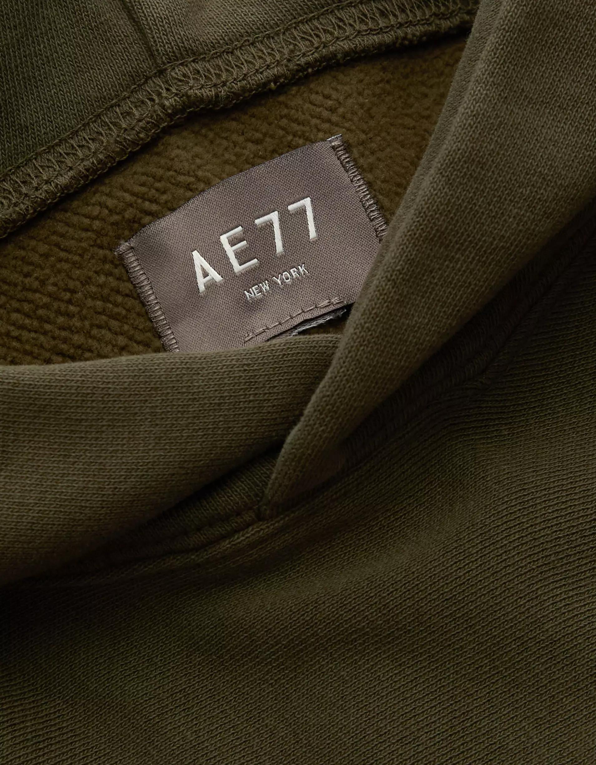 AE77 Premium Fleece Hoodie Product Image