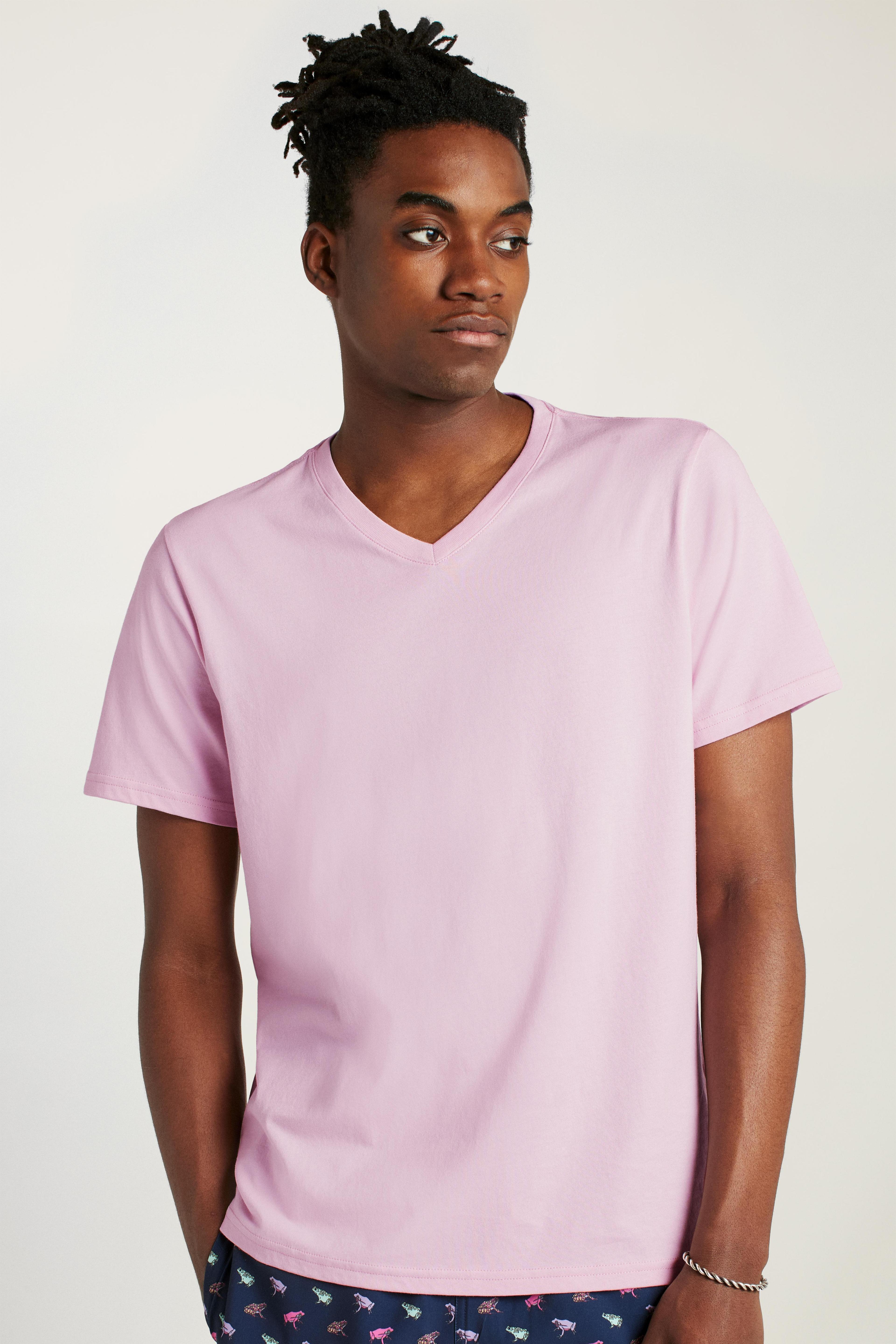 Organic Cotton V-Neck Tee Product Image