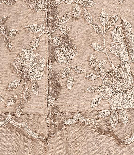 Alex Evenings V Neck Cap Sleeve Embroidered Bodice Stretch Tulle A Line Gown Product Image