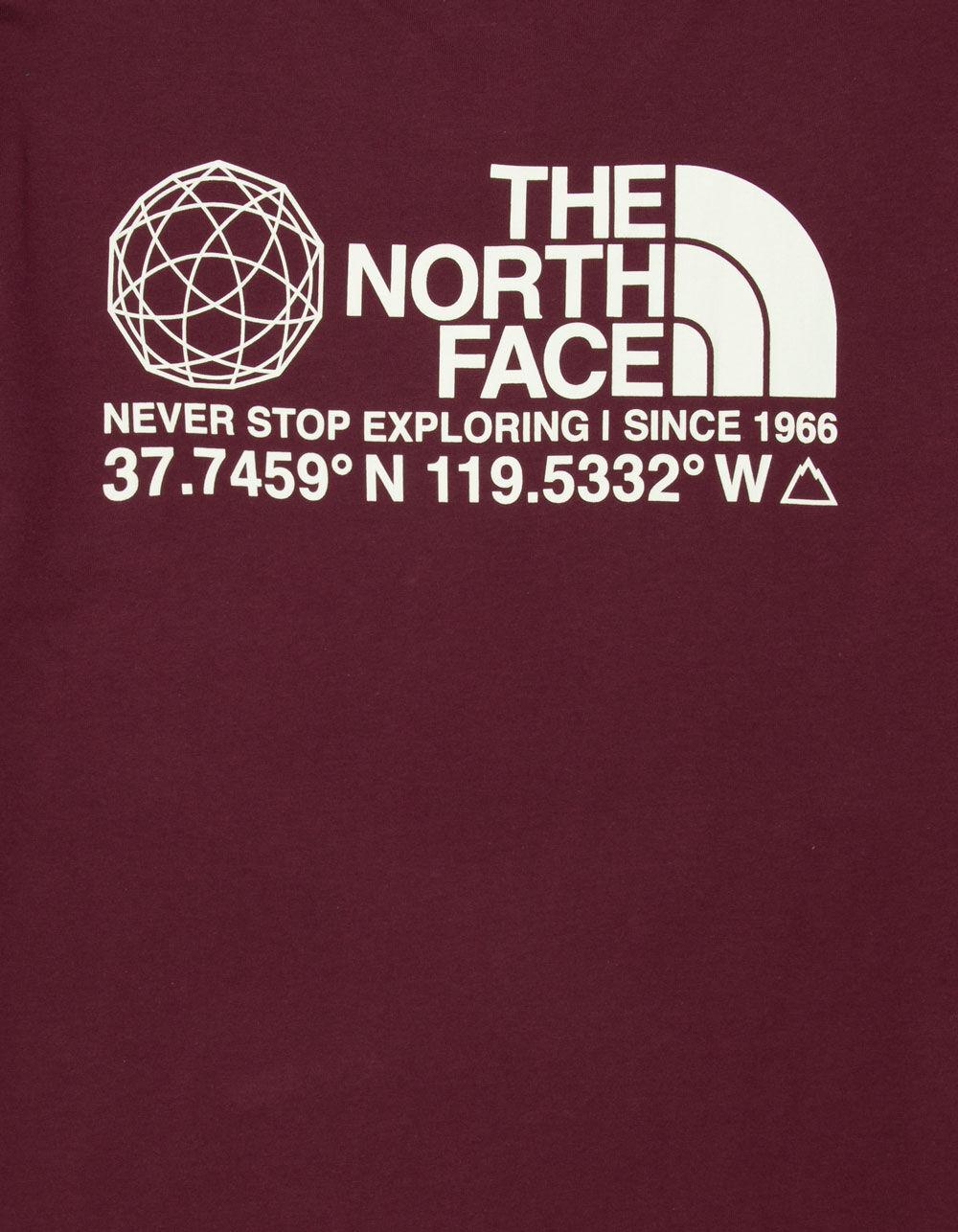 THE NORTH FACE Coordinates Mens Tee - TAN Product Image