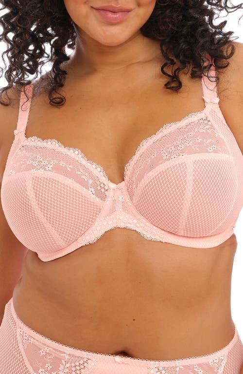 Charley Side Support Plunge Bra Product Image