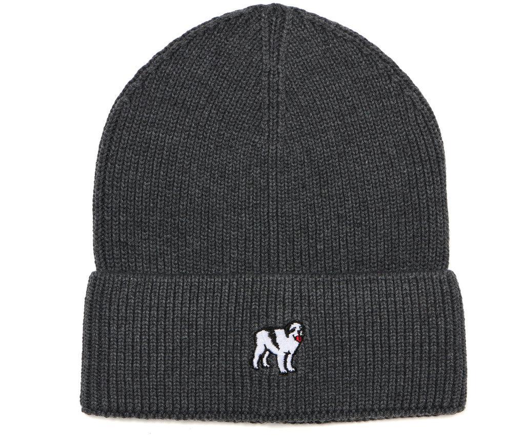 Icon Beanie Product Image