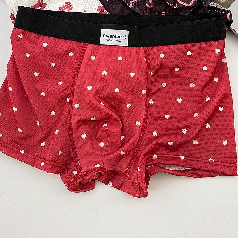 Pattern Boxer Brief / Set Product Image