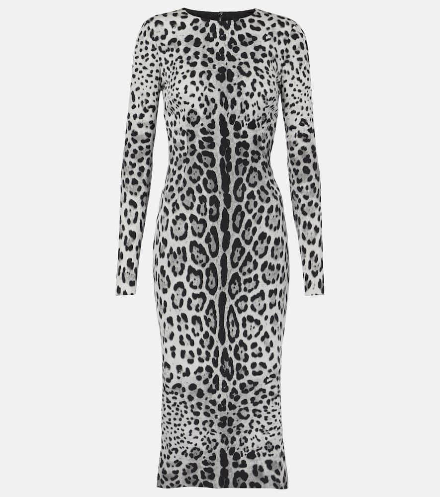 DOLCE & GABBANA Leopard-print Dress In Grey Product Image