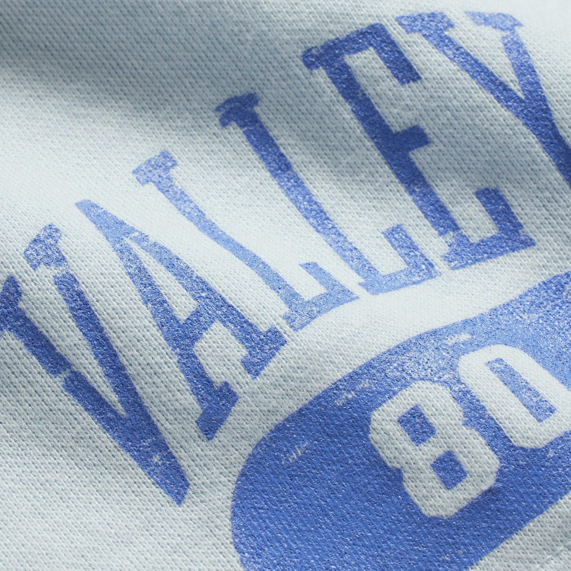 LIGHTWEIGHT FLEECE SHORT | FROST Product Image