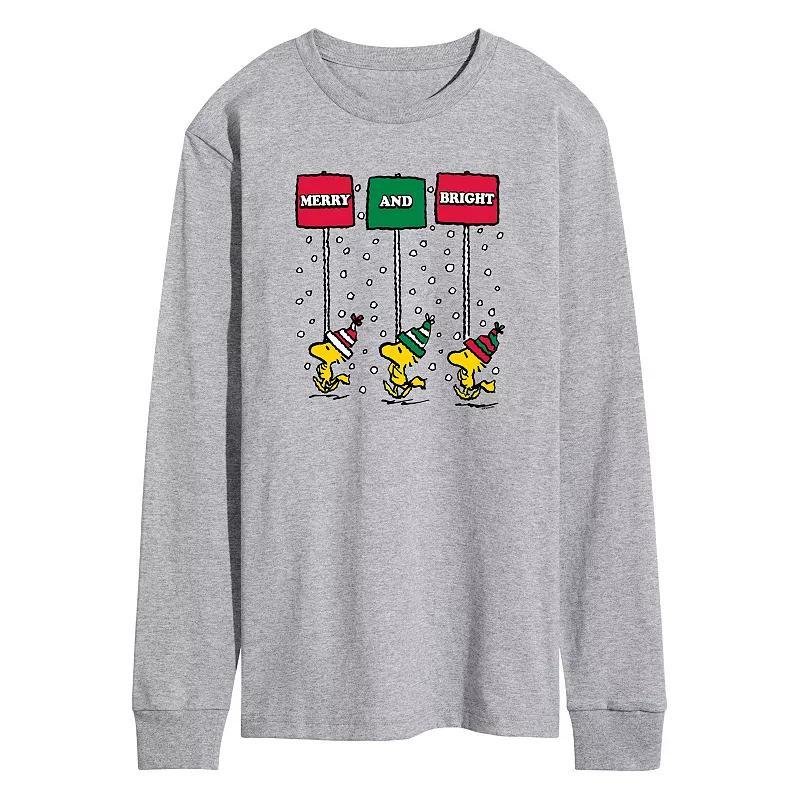 Men's Peanuts Woodstock Merry & Bright Long Sleeve Graphic Tee, Size: Small, Grey Gray Product Image