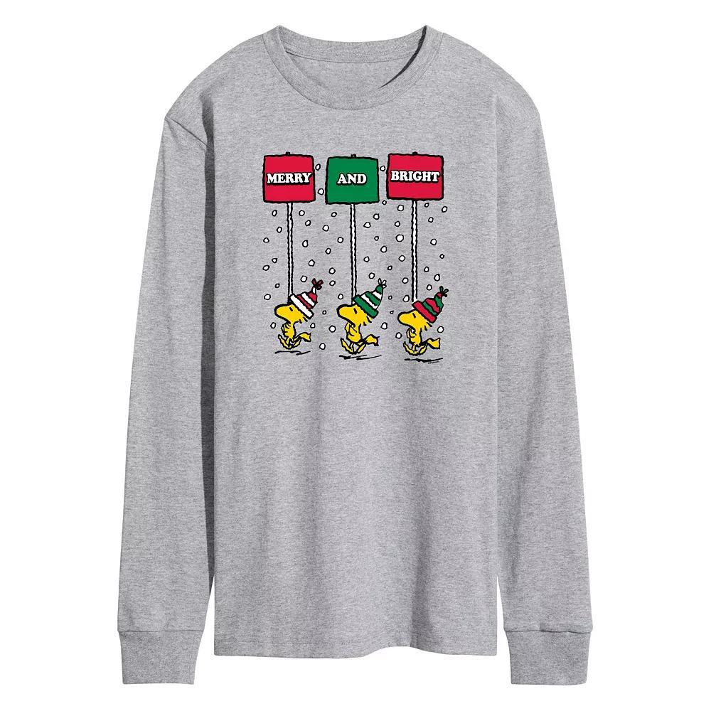 Men's Peanuts Woodstock Merry & Bright Long Sleeve Graphic Tee, Size: Small, Grey Gray Product Image