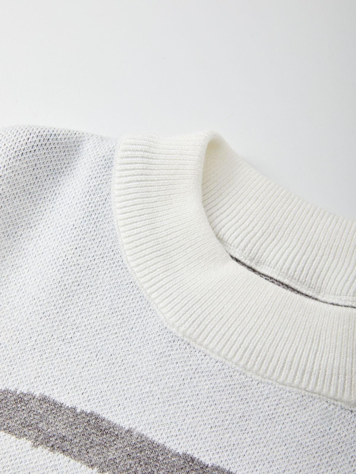 Long Sleeve Jacquard Crew Neck Sweater Product Image