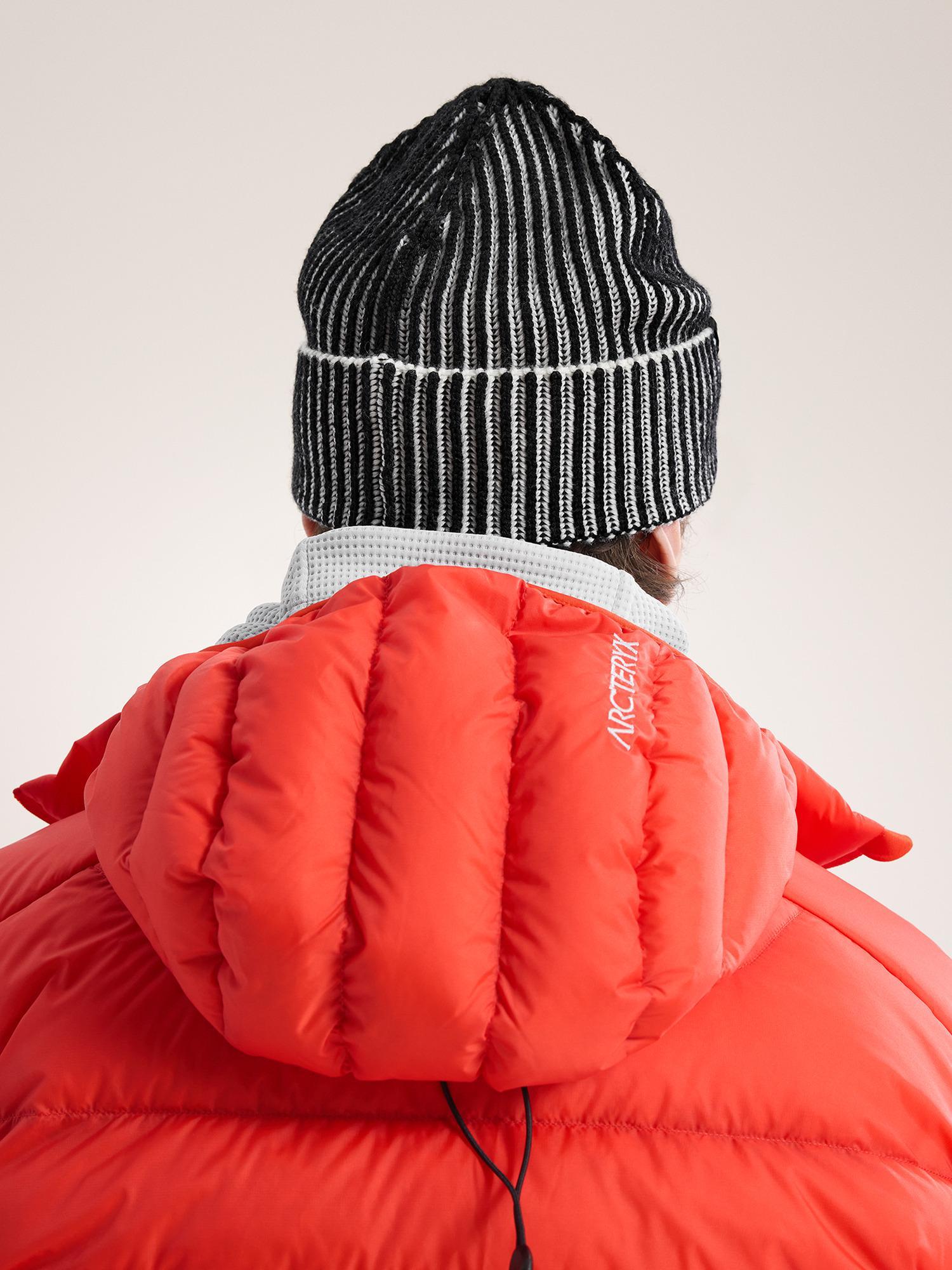 Ribbed Toque Product Image