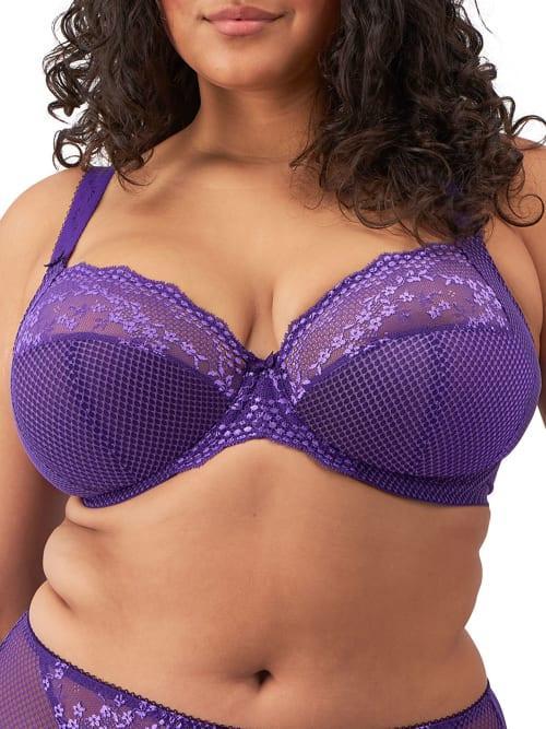 Charley Side Support Plunge Bra Product Image