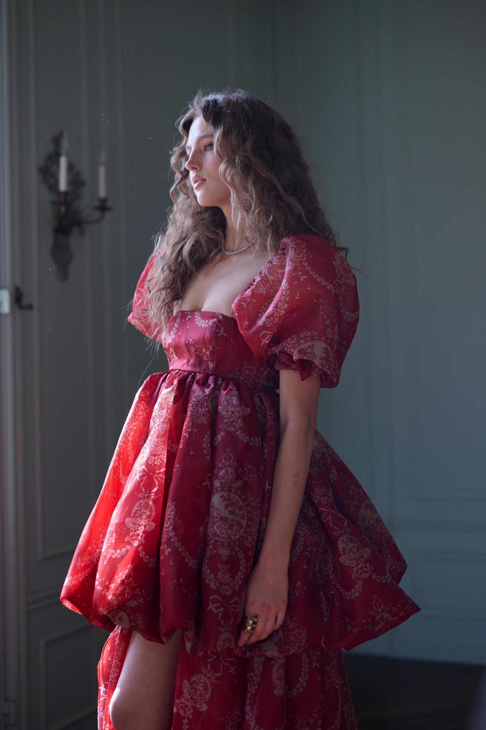 The Ornament Fairytale Gown Product Image