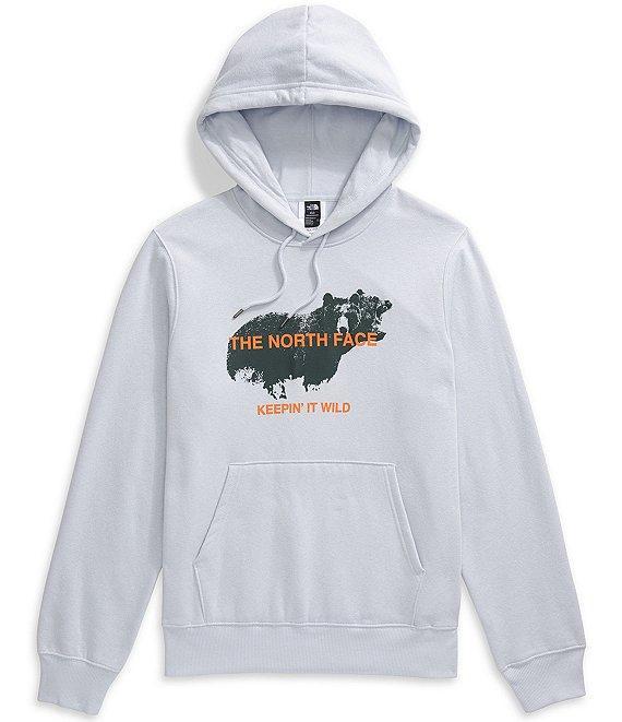 The North Face Animals We Love Bear Graphic Hoodie Product Image