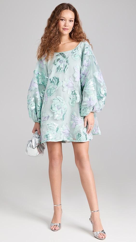 Arianne Elmy Sky Blue Magnolia Floral Organza Good Luck Dress | Shopbop Product Image