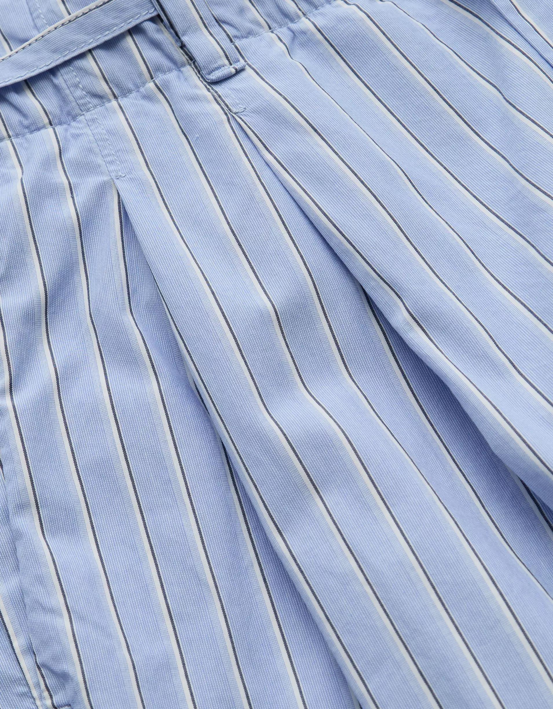 AE77 Premium Striped Wide Trouser Product Image