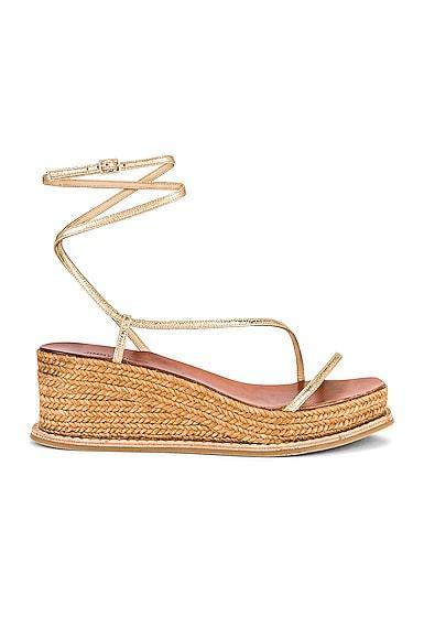 Jimmy Choo Drive 60 Sandal in Metallic Product Image