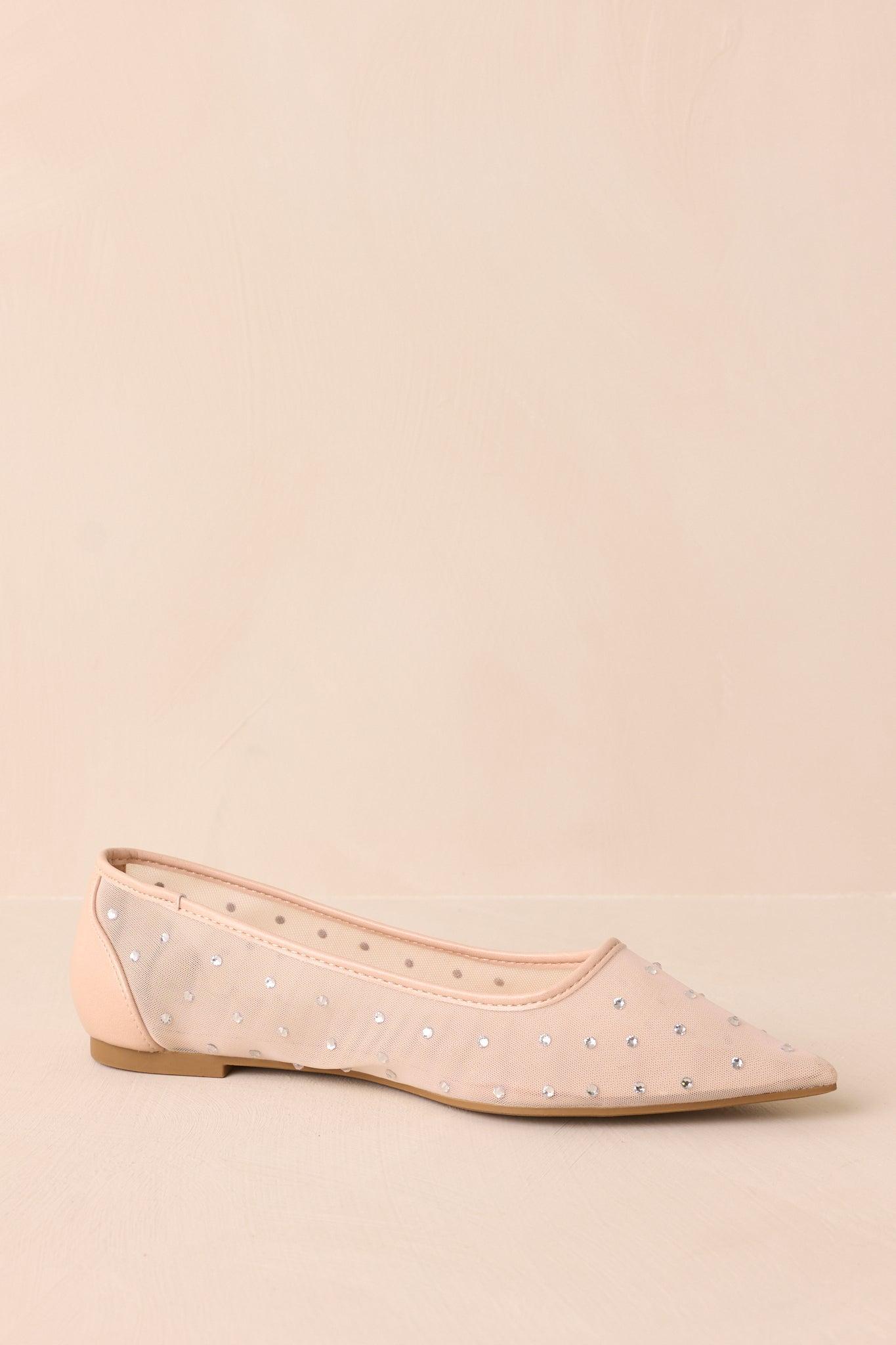 Shining Bright Nude Pointed Toe Mesh Ballet Flats Product Image