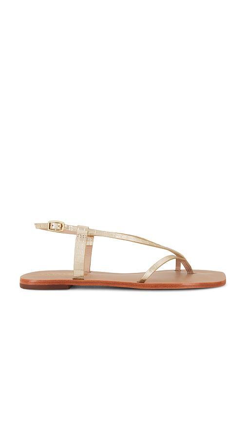 Cristobal Sandal Kaanas Product Image