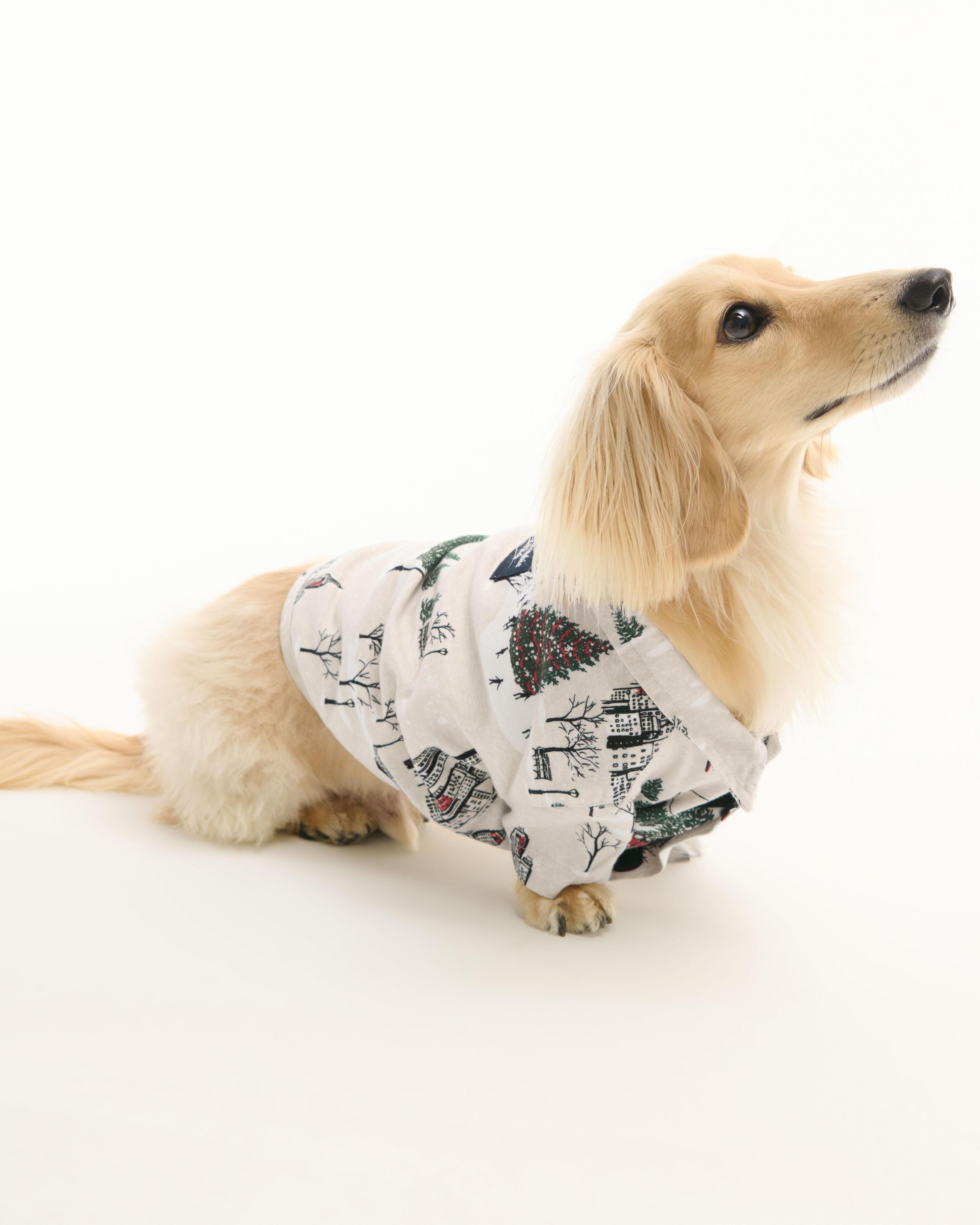 A&F Pet Sweater Product Image