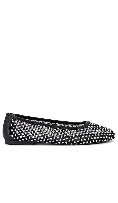 Ballet Flat Auden Steve Madden Product Image