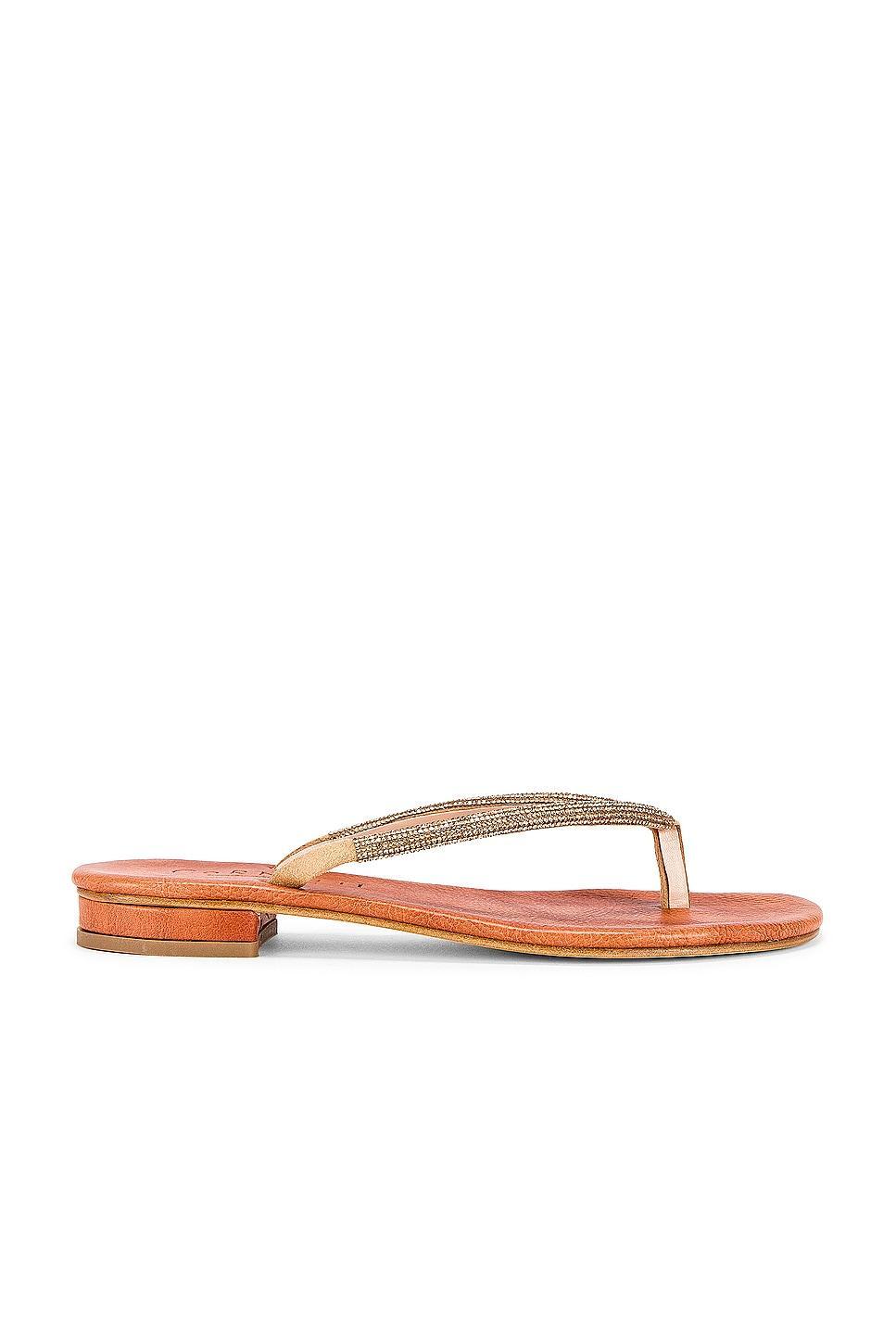 Pogliano Sandal CoRNETTI Product Image